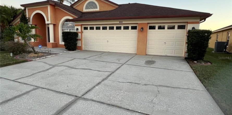 House in Tampa, Florida 4 bedrooms, 219.9 sq.m. № 1680048