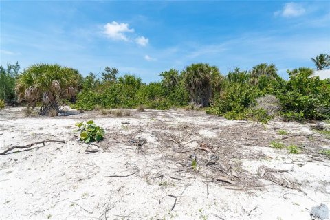 Terreno en venta en Placida, Florida № 1759304 - foto 12