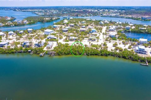 Terreno en venta en Placida, Florida № 1759304 - foto 7