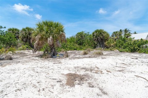 Terreno en venta en Placida, Florida № 1759304 - foto 10