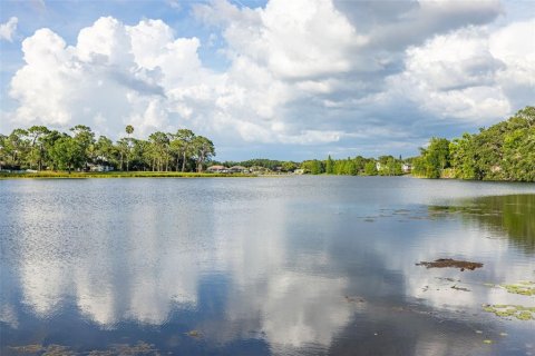 Снять в аренду виллу или дом в Тампа, Флорида 3 спальни, 126.16м2, № 1821123 - фото 15