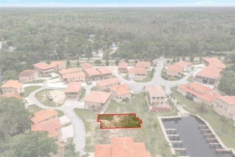 Terrain à vendre à Homosassa, Floride № 2233740 - photo 7