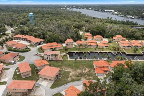 Terrain à Homosassa, Floride № 2233740