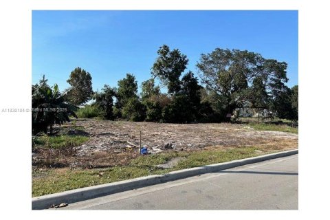 Land in Pahokee, Florida № 1804599 - photo 1