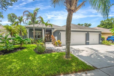 House in Valrico, Florida 4 bedrooms, 270.35 sq.m. № 2229190 - photo 2