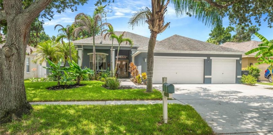 House in Valrico, Florida 4 bedrooms, 270.35 sq.m. № 2229190
