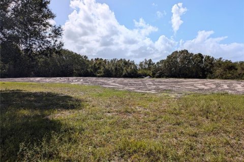 Land in Kissimmee, Florida № 1440639 - photo 4