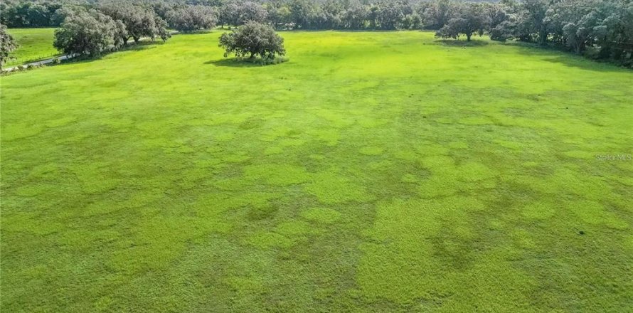 Land in Center Hill, Florida № 2102933