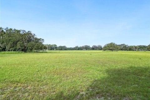 Land in Center Hill, Florida № 2102933 - photo 3