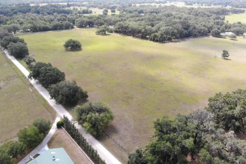 Land in Center Hill, Florida № 2102933 - photo 6