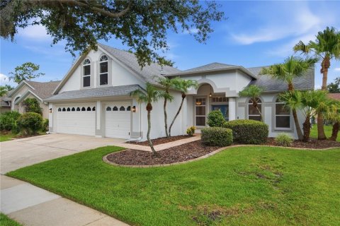 Villa ou maison à Tampa, Floride 5 chambres, 271.09 m2 № 2152296
