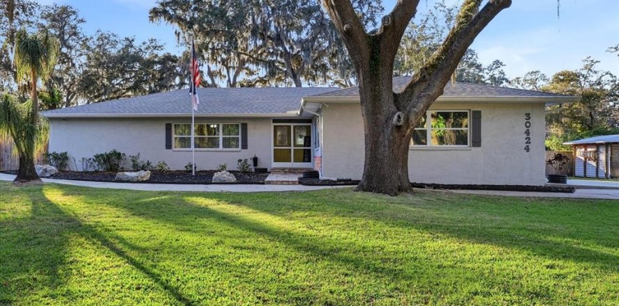 Villa ou maison à Wesley Chapel, Floride 4 chambres, 250.46 m2 № 2215236