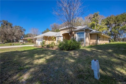 Villa ou maison à vendre à Inverness, Floride: 3 chambres, 171.87 m2 № 1637935 - photo 3