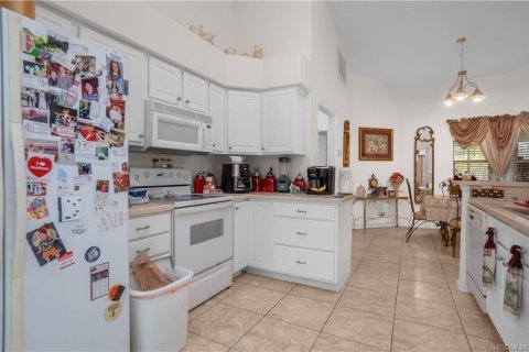 Villa ou maison à vendre à Inverness, Floride: 3 chambres, 171.87 m2 № 1637935 - photo 13