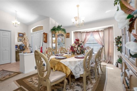 Villa ou maison à vendre à Inverness, Floride: 3 chambres, 171.87 m2 № 1637935 - photo 10