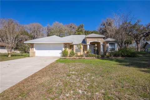 Villa ou maison à vendre à Inverness, Floride: 3 chambres, 171.87 m2 № 1637935 - photo 1