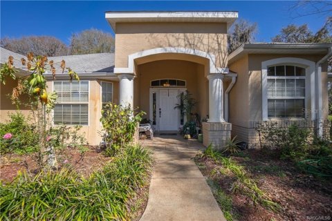 Villa ou maison à vendre à Inverness, Floride: 3 chambres, 171.87 m2 № 1637935 - photo 5