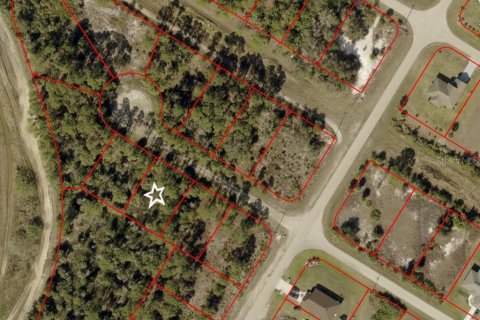 Land in Lehigh Acres, Florida № 2165557