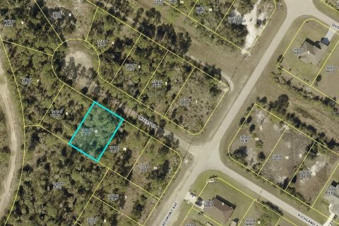 Land in Lehigh Acres, Florida № 2165557 - photo 2