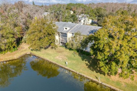 Condo in Tarpon Springs, Florida, 2 bedrooms № 2118439