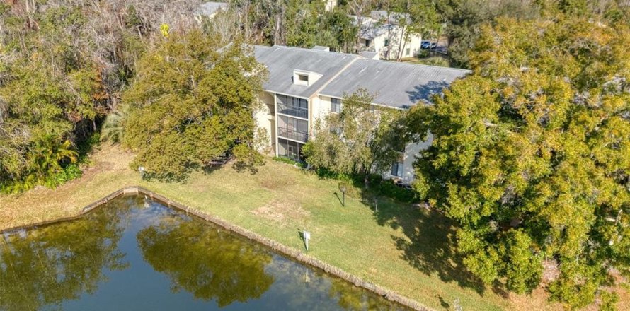 Condo à Tarpon Springs, Floride, 2 chambres  № 2118439