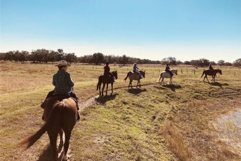 Land in River Ranch, Florida № 1743244 - photo 17