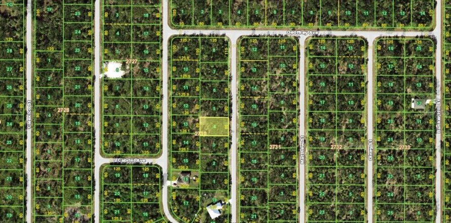 Terrain à Port Charlotte, Floride № 2235260