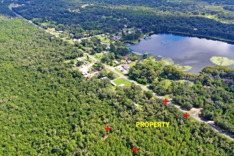 Land in Hernando, Florida № 2360373