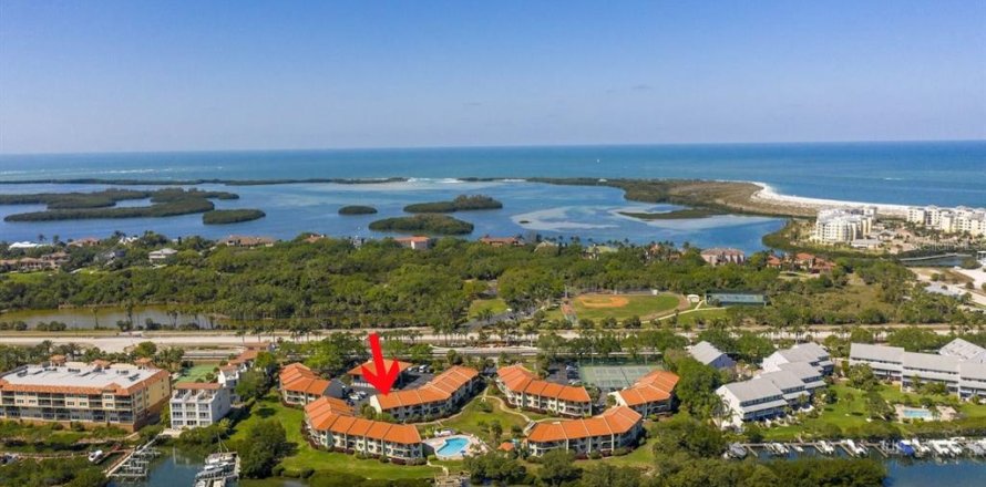 Condo à Saint Petersburg, Floride, 1 chambre  № 2115054