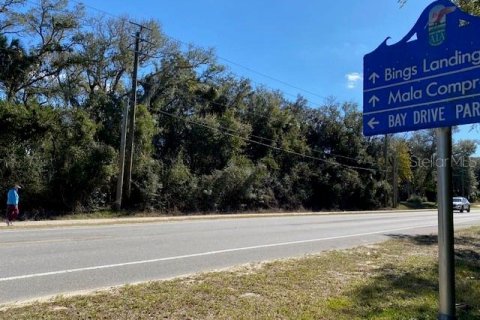 Land in Palm Coast, Florida № 293053 - photo 1