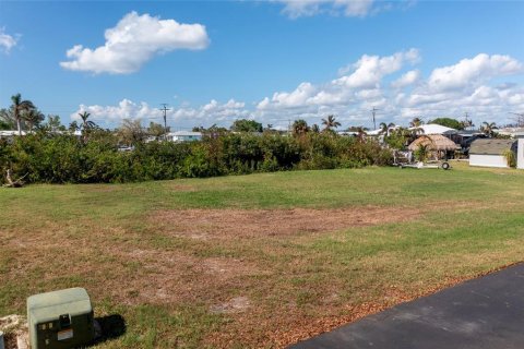 Terrain à vendre à Punta Gorda, Floride № 1444152 - photo 8