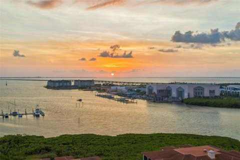 Copropriété à vendre à Tampa, Floride: 3 chambres, 237.37 m2 № 2312817 - photo 3