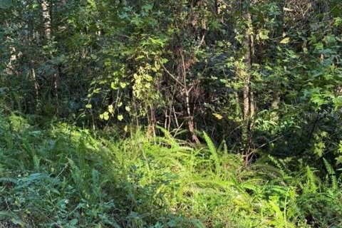 Land in Ocala, Florida № 2162880