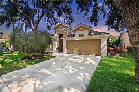 House in Lutz, Florida 3 bedrooms, 141.68 sq.m. № 2353410