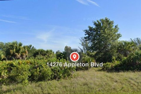 Land in Port Charlotte, Florida № 2161362 - photo 2