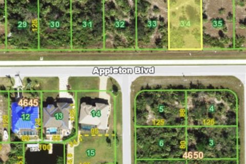 Land in Port Charlotte, Florida № 2161362