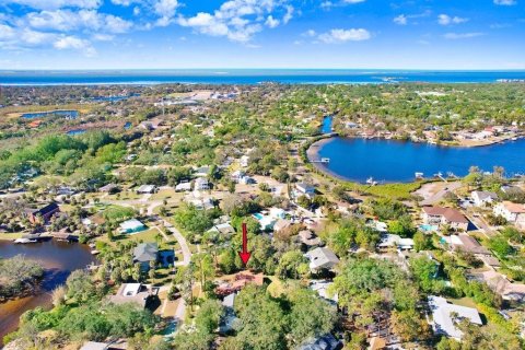 House in Tarpon Springs, Florida 3 bedrooms, 167.69 sq.m. № 1507734 - photo 29
