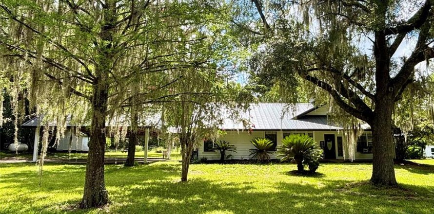 House in Hawthorne, Florida 3 bedrooms, 239.69 sq.m. № 2232310