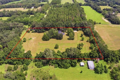 House in Hawthorne, Florida 3 bedrooms, 239.69 sq.m. № 2232310 - photo 5