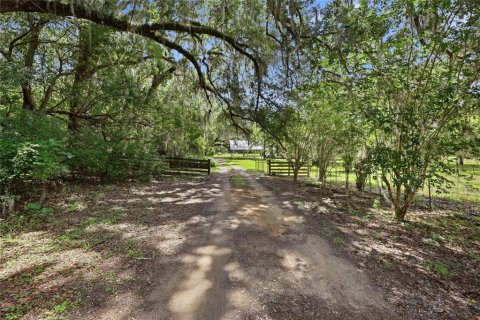 House in Hawthorne, Florida 3 bedrooms, 239.69 sq.m. № 2232310 - photo 9