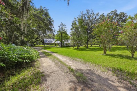 House in Hawthorne, Florida 3 bedrooms, 239.69 sq.m. № 2232310 - photo 11