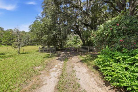House in Hawthorne, Florida 3 bedrooms, 239.69 sq.m. № 2232310 - photo 10