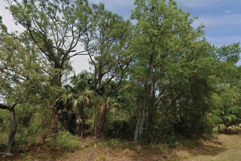 Land in Punta Gorda, Florida № 2162730