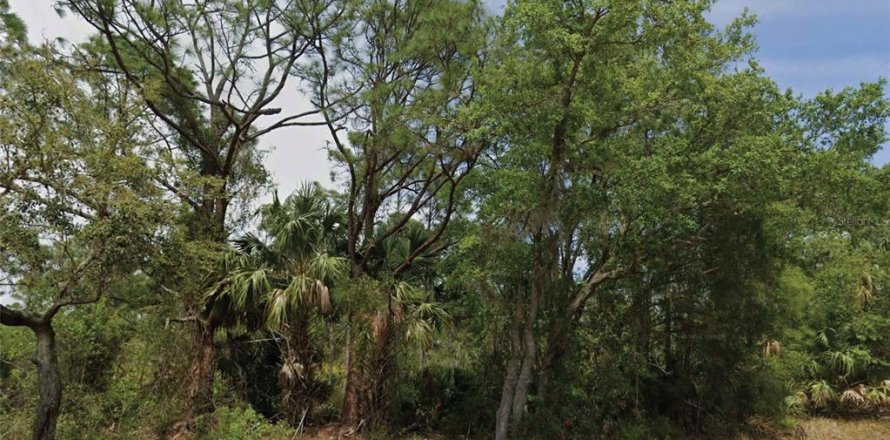 Land in Punta Gorda, Florida № 2162730