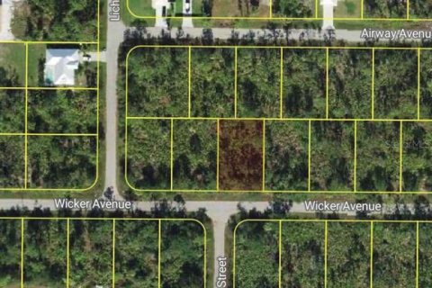 Land in Punta Gorda, Florida № 2162730 - photo 2