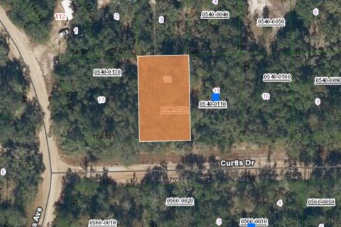 Land in Interlachen, Florida № 2161881