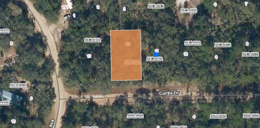 Land in Interlachen, Florida № 2161881