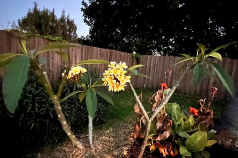 Propiedad comercial en alquiler en Delray Beach, Florida, 2 dormitorios, 85.84 m2 № 1139085 - foto 1