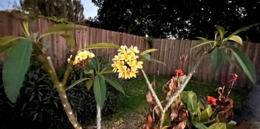 Propiedad comercial en Delray Beach, Florida 2 dormitorios, 85.84 m2 № 1139085