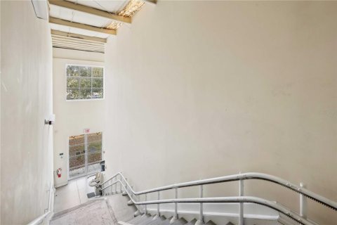 Immobilier commercial à louer à Lutz, Floride: 1758.55 m2 № 1561008 - photo 26